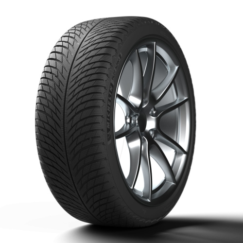 Michelin Pilot Alpin 5 SUV 315/30 R21 105V (XL) фото №2