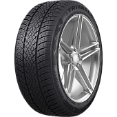 Шина WinterX TW401 в Самаре